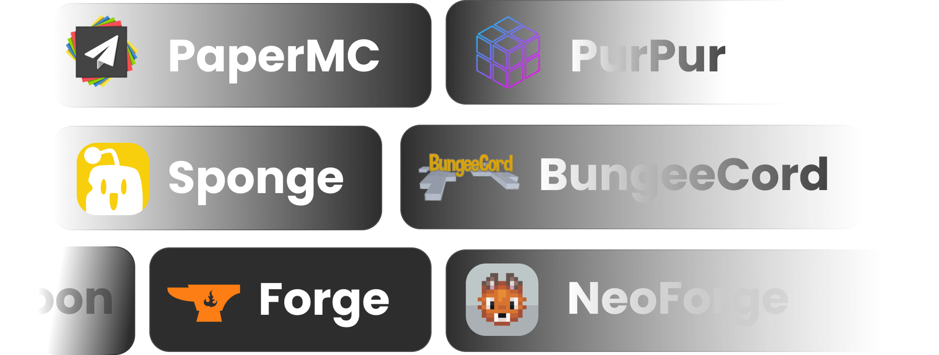 Supported software